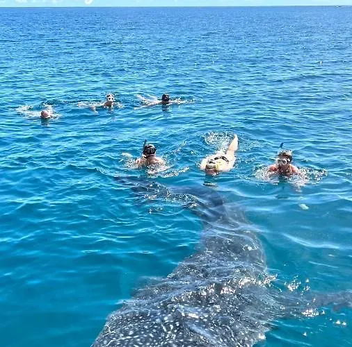 Panorama Guesthouse Apartments Beau Vallon Beach Beau Vallon (Mahe)